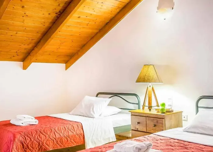 Irida فيلة نيدري